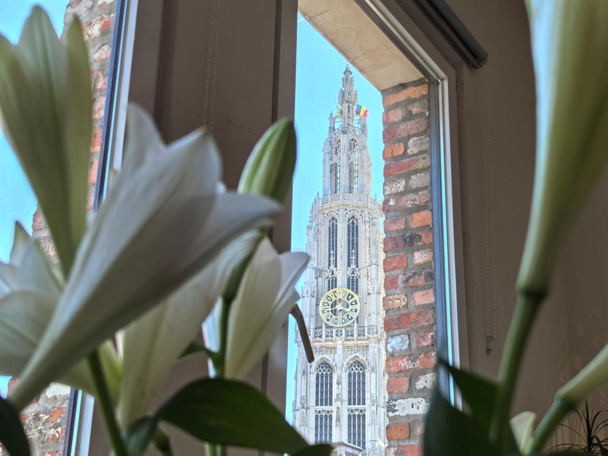 Historical Center Antwerp, All On Foot Экстерьер фото